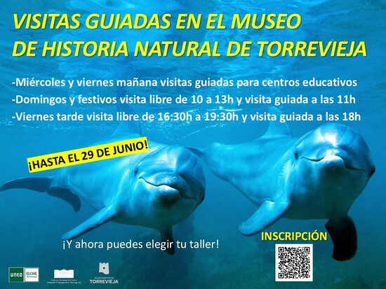 El MUSEO DE HISTORIA NATURAL de Torrevieja abrirá este domingo 18 de mayo con motivo del  DÍA INTERNACIONAL DE LOS MUSEOS