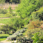 El 1 de junio Nelly Gérouard y Moisés Gil inauguran exposición conjunta en el Jardín Klein-Schreuder