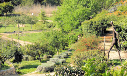 El 1 de junio Nelly Gérouard y Moisés Gil inauguran exposición conjunta en el Jardín Klein-Schreuder