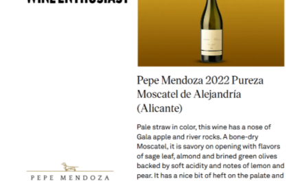 Un moscatell d’Alacant entre els deu millors moscatells del món