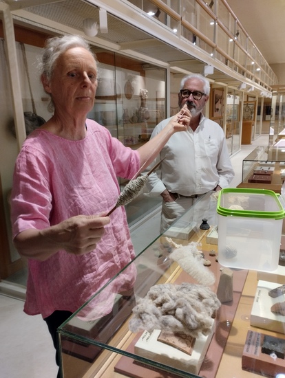 El Museo Arqueológico de Alcoy ultima una exposición sobre el origen del Bronce Valenciano en el marco de su 80 aniversario