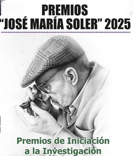 Dos investigadores de la Universidad de Alicante se alzan con los premios de la Fundación José María Soler
