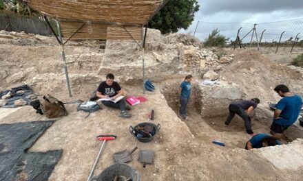 La UA finaliza la excavación de las Termas Orientales de La Alcudia de Elche tras ocho años de trabajo