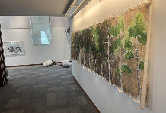 El Instituto Juan Gil-Albert celebra el 25 aniversario de los EAC con una exposición de las obras premiadas