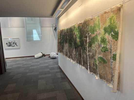 L’Institut Juan Gil-Albert celebra el 25 aniversari dels EAC amb una exposició de les obres premiades