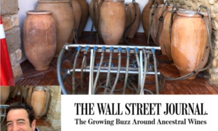 The Wall Street Journal destaca a Pepe Mendoza com a referent del vi mediterrani en àmfora