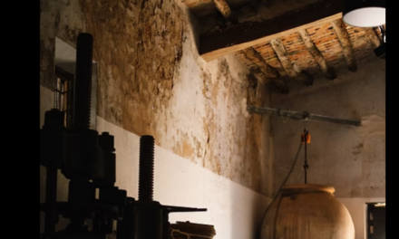 Col·lecció de Toneles Centenarios brilla entre els Vins Alacant DOP