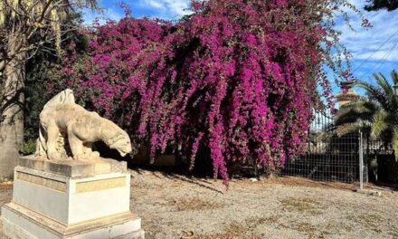 “Promed Consultig” executarà la primera fase de les obres de rehabilitació de la finca Vila Marco del Campello, que inclou la consolidació del clos perimetral i la restauració de l’habitatge dels guardeses