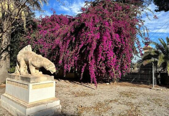 “Promed Consultig” executarà la primera fase de les obres de rehabilitació de la finca Vila Marco del Campello, que inclou la consolidació del clos perimetral i la restauració de l’habitatge dels guardeses