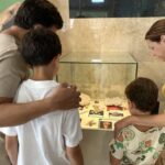 El MUPE se suma a la fiestas de Elche mostrando la relación entre minerales y pirotecnia 