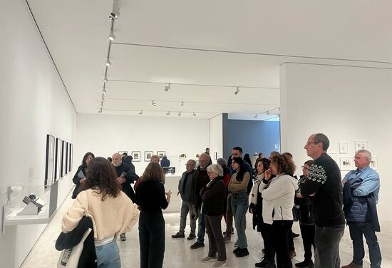L’exposició de Kara Walker es converteix en una de les més visitades de la història del MACA amb més de 44.000 persones