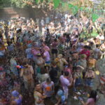 4.000 personas arropan a la elefanta Petita en su 53º cumpleaños en Terra Natura Benidorm