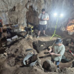 El MARQ reabre la Cova de l’Or de Beniarrés tras ampliar el espacio expositivo y mejorar la musealización 