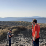 El estudio del incendio de Ibi revela una elevada capacidad de regeneración de la vegetación