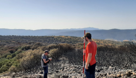 El estudio del incendio de Ibi revela una elevada capacidad de regeneración de la vegetación