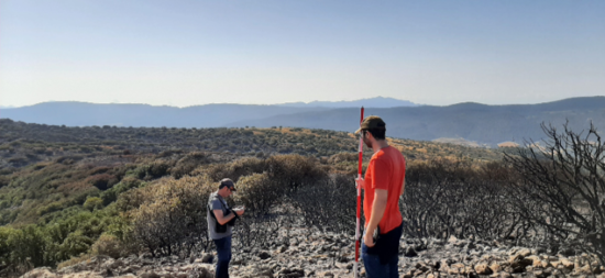 El estudio del incendio de Ibi revela una elevada capacidad de regeneración de la vegetación