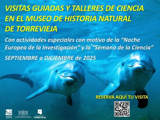 El Museu d’Història Natural de Torrevella reprén la seua obertura amb visites guiades i tallers de ciència
