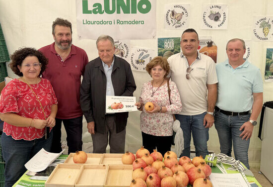 Sofía Torres gana el concurso de pelar granadas de Elche en la Fireta del Camp d’Elx