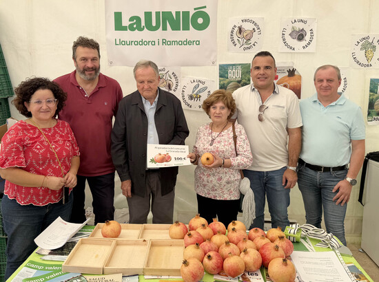 Sofía Torres gana el concurso de pelar granadas de Elche en la Fireta del Camp d’Elx