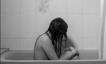 PhotoAlicante regresa a Las Cigarreras con exposiciones, proyecciones audiovisuales y un congreso de fotografía