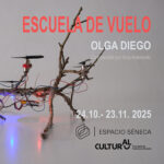 Olga Diego convierte el Espacio Séneca en un “hangar” con su exposición Escuela de Vuelo