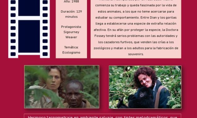 Cinema Crític projecta GORILAS EN LA NIEBLA el dimarts 21 d’octubre a Torrevella