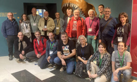 Elx seu del Manifest pel Patrimoni Geològic