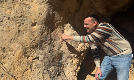 L’Ajuntament d’Elda inicia les obres de conservació i difusió de l’abric amb art rupestre situat en l’enclavament de Camara
