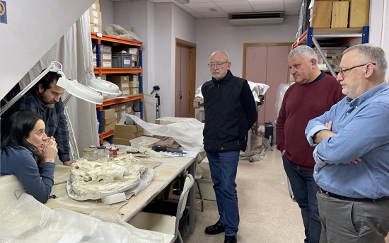 El MUPE participa en un proyecto de investigación del patrimonio paleontológico de Castilla-La Mancha en Caudete