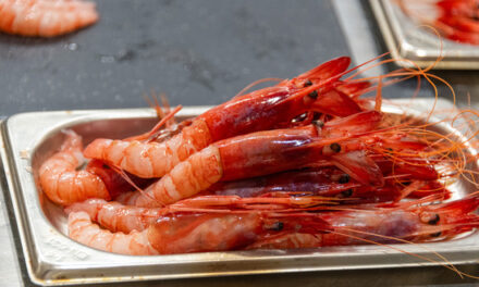 La creatividad culinaria vuelve a medirse en Dénia con la gamba roja como protagonista