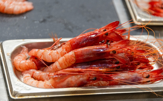 La creatividad culinaria vuelve a medirse en Dénia con la gamba roja como protagonista