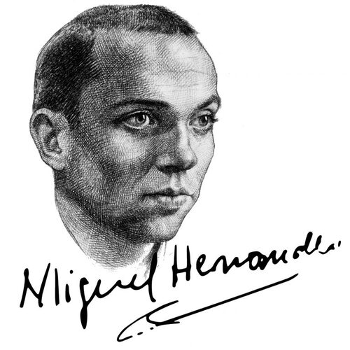 Más de 1600 obras concurren al Premio Internacional de Poesía promovido por la  FUNDACIÓN MIGUEL HERNÁNDEZ