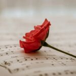 La Diputación lanza las ayudas para organizar actividades culturales, musicales y escénicas en la provincia