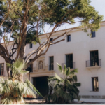 Alicante licita la redacción del proyecto y ejecución de las obras para adecuar los espacios del Museo Internacional de Las Cigarreras