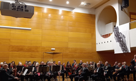 Brillant concert i clausura del primer quadrimestre del curs de música inclusiu Francisco Casanovas