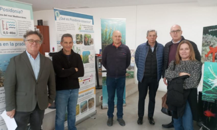 Ayuntamiento de Alicante e Instituto de Ecología Litoral estrenan la exposición ‘Posidonia oceánica en 12 preguntas’