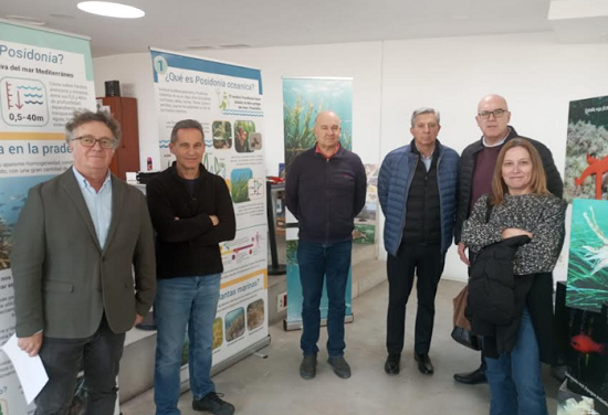 Ayuntamiento de Alicante e Instituto de Ecología Litoral estrenan la exposición ‘Posidonia oceánica en 12 preguntas’