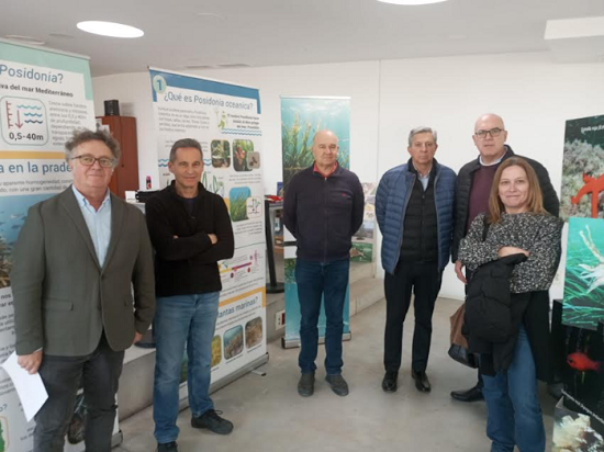 Ayuntamiento de Alicante e Instituto de Ecología Litoral estrenan la exposición ‘Posidonia oceánica en 12 preguntas’