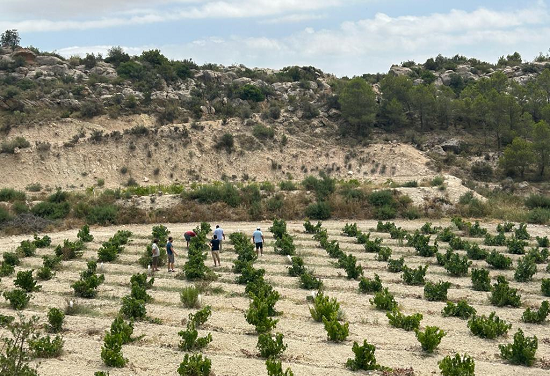 “El vino perfecto”, bodegueros y suspense para el relato ganador monastrell 2025