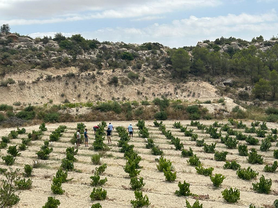 “El vino perfecto”, bodegueros y suspense para el relato ganador monastrell 2025