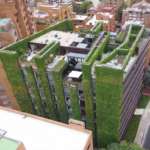 El botánico español con más récords en jardines verticales lleva su método por todo el mundo