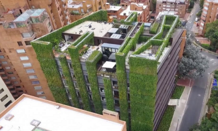 El botánico español con más récords en jardines verticales lleva su método por todo el mundo