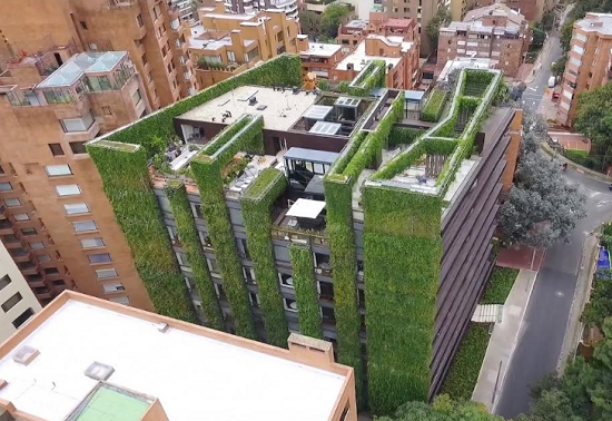 El botánico español con más récords en jardines verticales lleva su método por todo el mundo