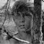 La última guerra en la tierra