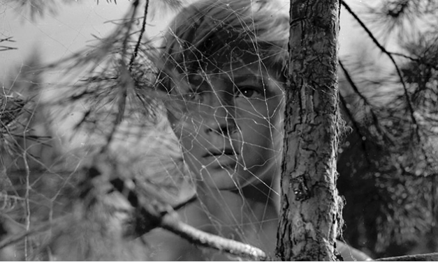 La última guerra en la tierra