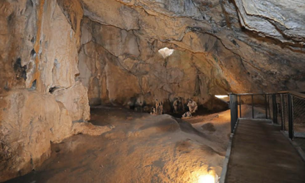 Este fin de semana arranca la temporada de visitas guiadas al yacimiento de la Cova de l’Or de Beniarrés  