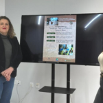 El Centro de Interpretación del Palmeral de Orihuela acogerá el 21 de marzo un taller de palma blanca con motivo del Domingo de Ramos