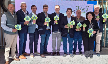 Alicante gana peso en la nueva junta directiva de Alcachofa de España