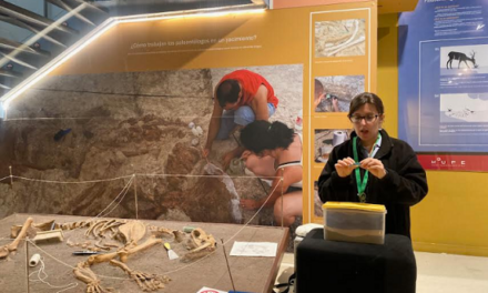 Llega a Elche “Mi primer Geolodía”