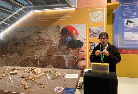 Llega a Elche “Mi primer Geolodía”